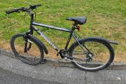 bikes