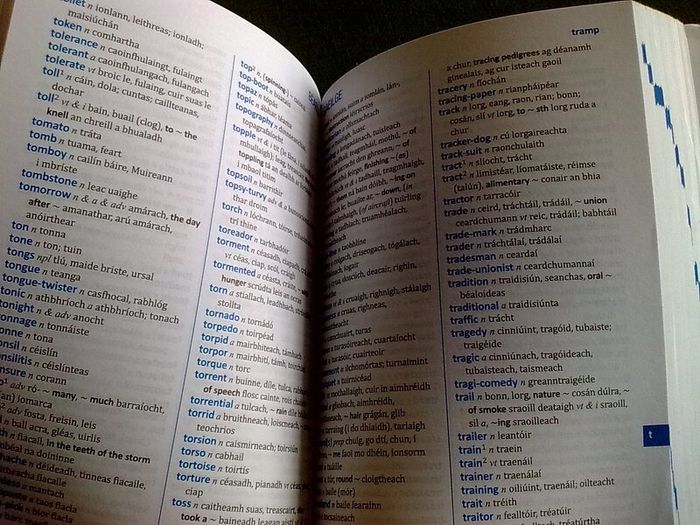 Focloir Poca Irish dictionary Ireland Irish language Gaeilge