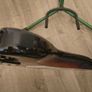Fender Squier Stratocaster Image 5