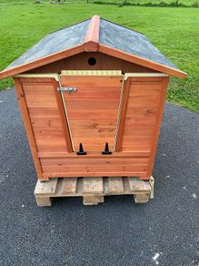 Dog Wash Kennel