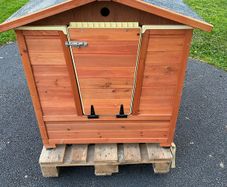 Dog Wash Kennel