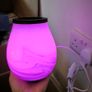 Scented Wax Melt Warmer Image 9