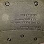 Wwe Cruiser Welght Champion Belt Image 2