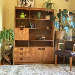 Mid century modern wall unit / storage display unit