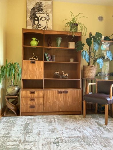 Mid century modern wall unit / storage display unit