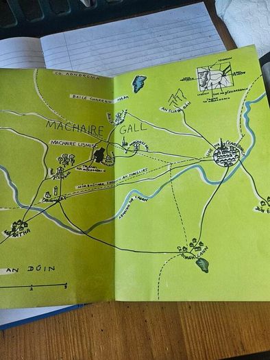 Trasna Na Boinne  By Earnan De Blaghd. First Edition Paperback In Good Condition. See Photos For Same.