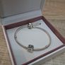 Pandora Bracelets (2) Image 7