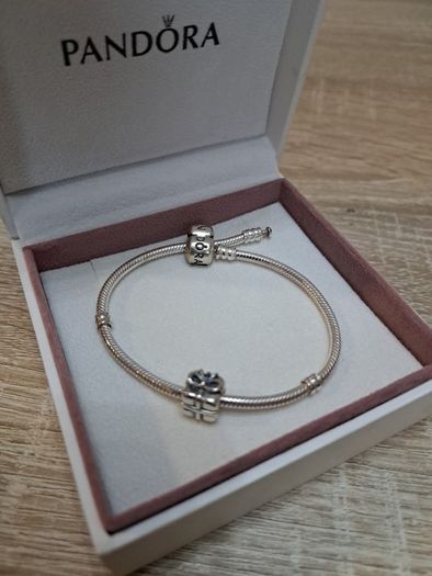 Pandora Bracelets (2)