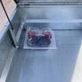 Erde SY150 Camping Trailer Image 2