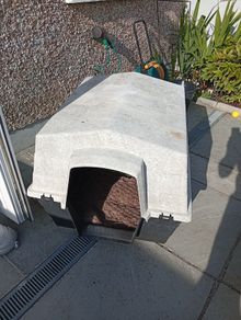 Dog house
