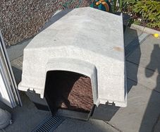 Dog house