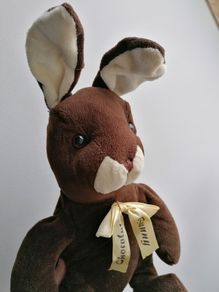 Plush Bunny