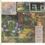1989/90 Ireland The Irish Stamp Year Book with 48 images of contents Image 10