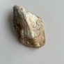 Hand Painted Oyster Shell Image 2