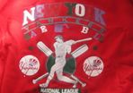 Boy's Red Tracksuit/Baseball.