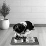 Silicone Pet Food Mat with Waterproof Material; Cat Feeding Mat with Raised Edges, Food-Grade Silicone Mat Image 6