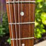 Squier Standard Series Stratocaster Image 10