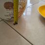 plant pot Image 6