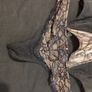 panache corset 34d and g-string 10 Image 4