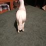 porcelain horse Image 4
