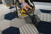 doll and buggy