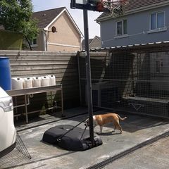 basketball hoop