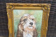 Original Susan Harper Oil Dog Portrait Primrose Framed 33.5 x 38.5 cm