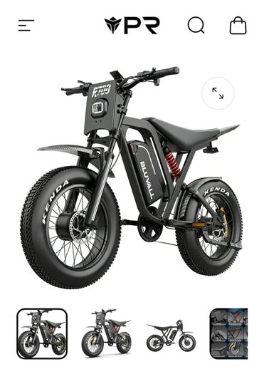 e bike