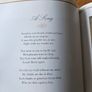 Remembered  Kisses. An Illustrated  Anthology  Of Irish  Love Poetry. Published By Gill And  Mcmillan.  First Edition.  Large  Volume Book With Dustjacket In  Very Good Condition. 35. Image 6
