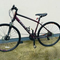 Carrera mountain bike