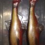 Savage Gear 3D River Roach paddle tail 18cm Image 4