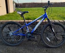 Mountain bike