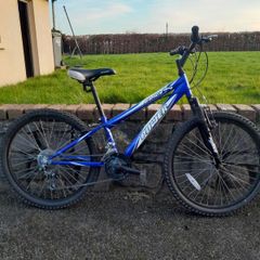 Mountain bike