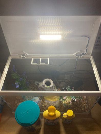 Fish tank
