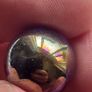 Marbles Image 6