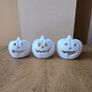3 mini pumpkins Image 2