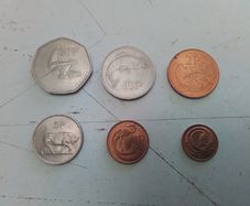 6.Early Decimal Coins.