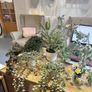 Collection of fake plants and pots Image 3