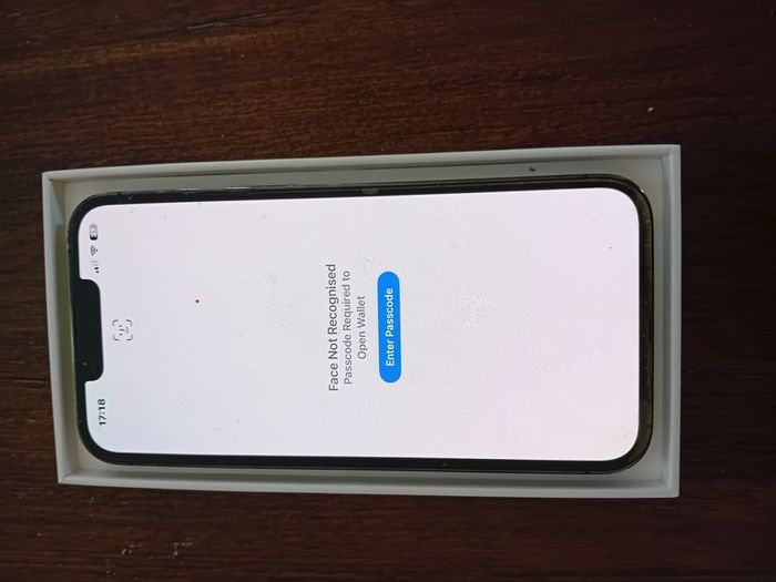 iPhone 13 Pro with 256GB