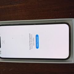 iPhone 13 Pro with 256GB