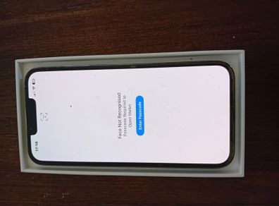 iPhone 13 Pro with 256GB
