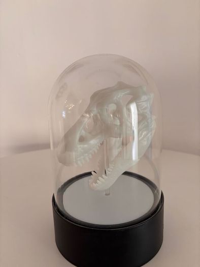 Dinosaur Head