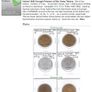 Full Set Rare Curragh Coin Image 4