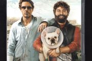 Due Dave DVD Movie staring Robert Downey Jr. and Zach Galifianaki