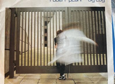 Robert Plant. Big log picture sleeve vinyl record single in vg+ condition