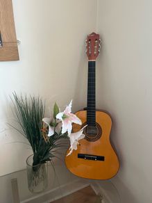 guitar