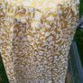 Table Skirt Image 2