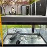 Fish tank 54ltr Image 3