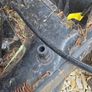 lawn mower Image 5