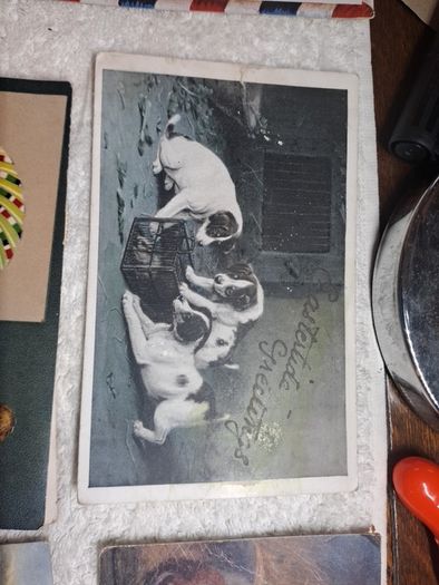Historic Gore Booth postcards.